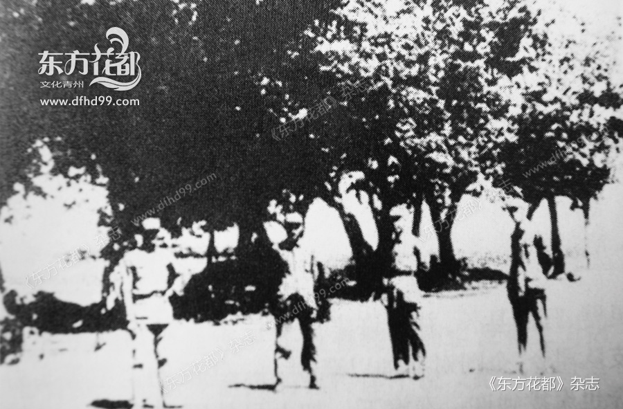 1939年7月，中共豫皖省委领导张爱萍（左一）、刘瑞龙（左二）、刘玉柱（左三）、金明（左四）在皖东北张塘一带成立八路军、新四军皖东北办事处时留影。.jpg