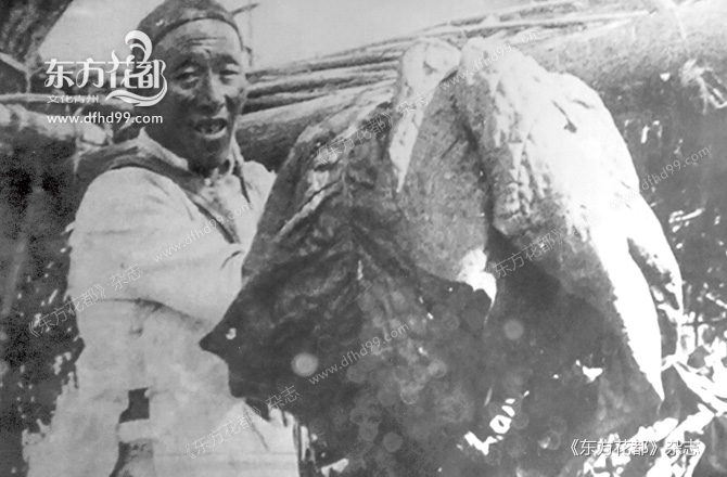 民国初年烤烟在青州种植成功.jpg