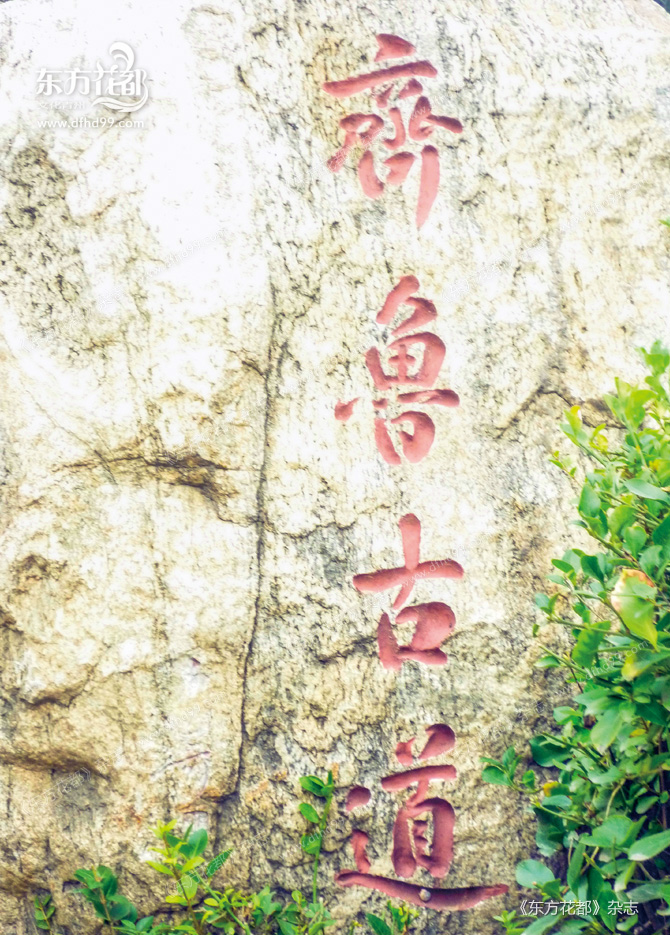 齐鲁古道.jpg