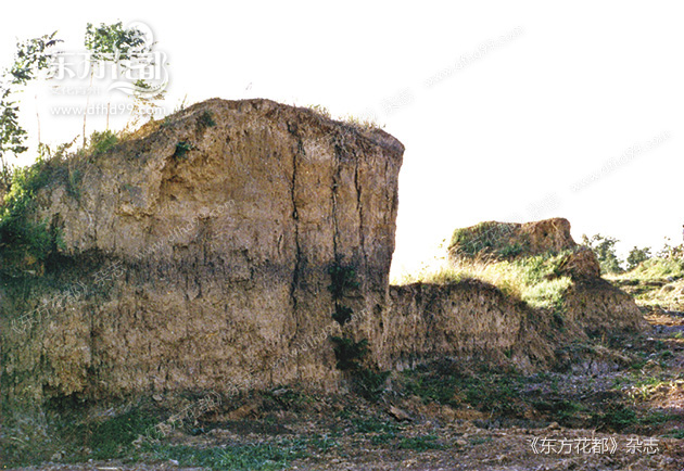 广固城遗址马驿门遗址《宋书·州郡志:青州刺史治东阳城,州领郡九